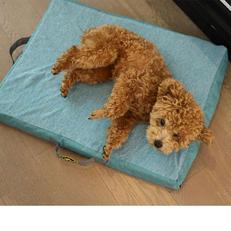 orthopedic foam dogs beds