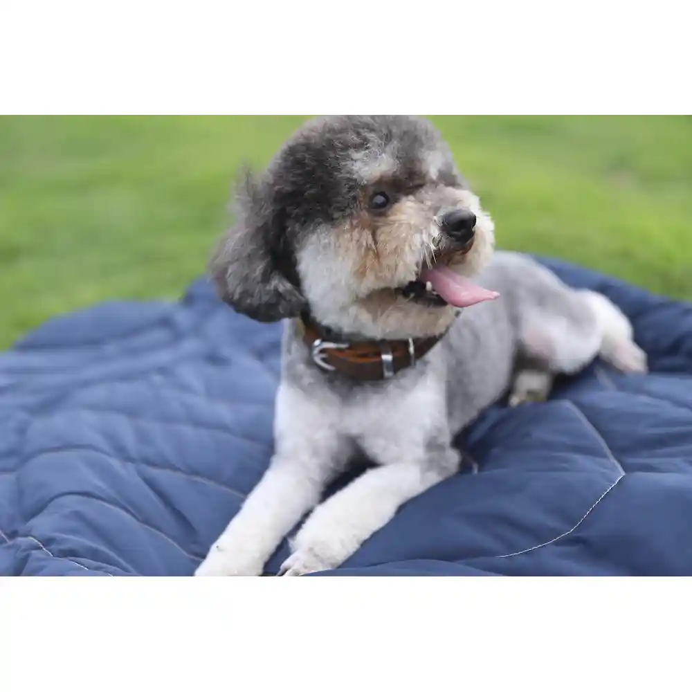 outdoor pet mat manufacturer