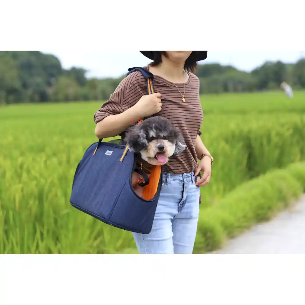 pet dog carrier supplier