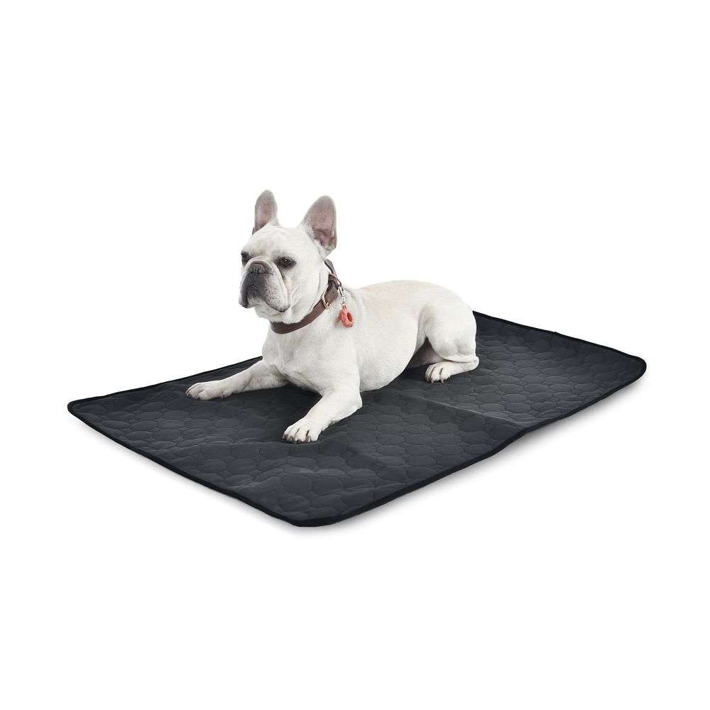 pet training mat