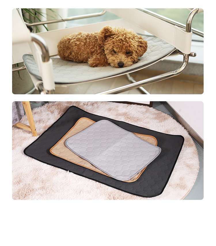pet training mats