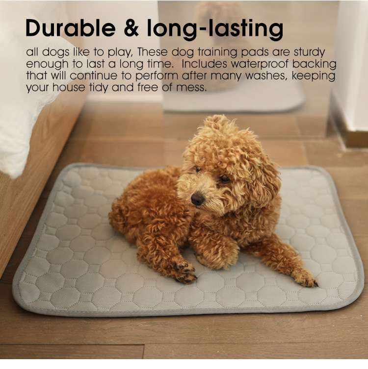 pets training mats