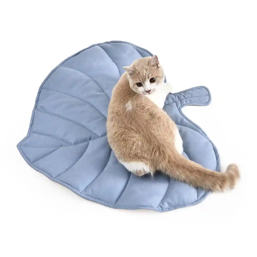 small cat bed mat manufacturer