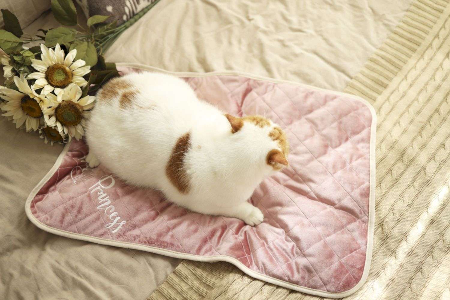 soft pet blankets