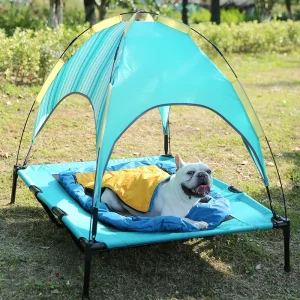what are the benefits of a raised dog bed