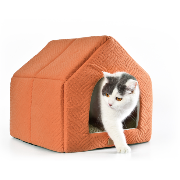 yellow cat cave bed