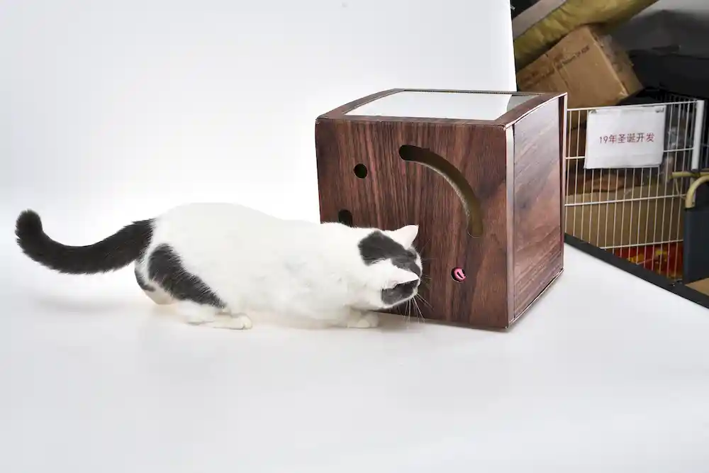 Cardboard Cat Cave Supplier
