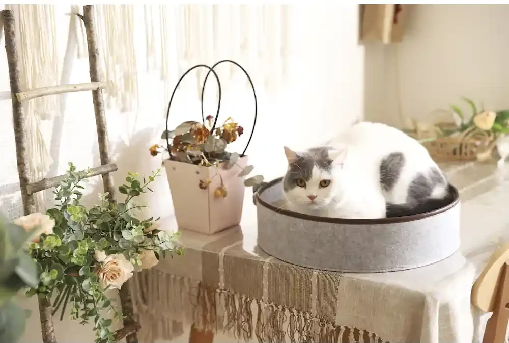 China felt cat bed factory