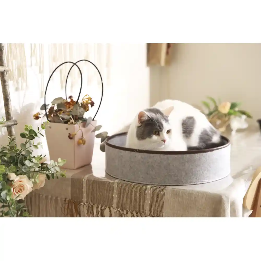 China felt cat bed supplier