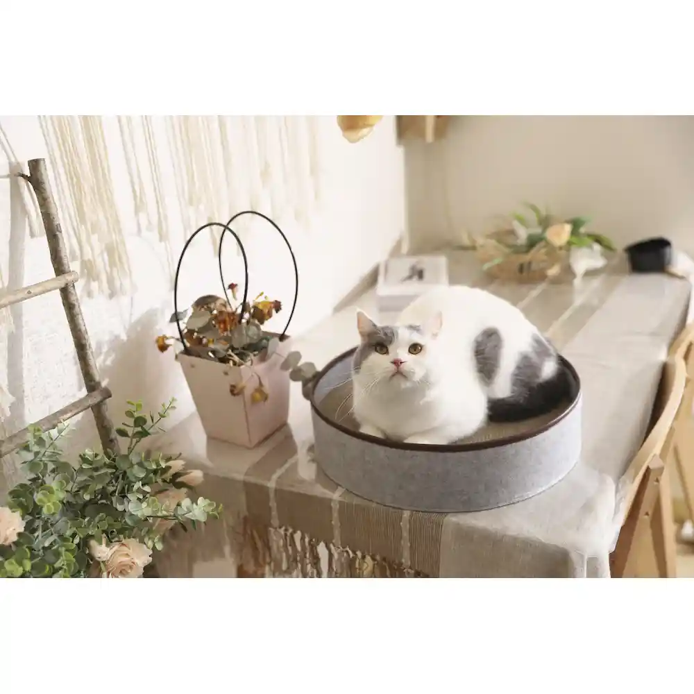 China voelde kattenbed groothandelaar