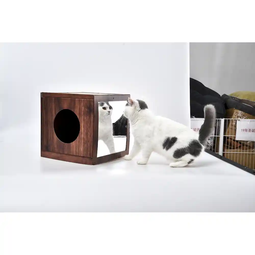 Manufacture Cardboard Cat Cave