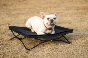 Travel Pet Beds