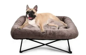 best elevated dog bed