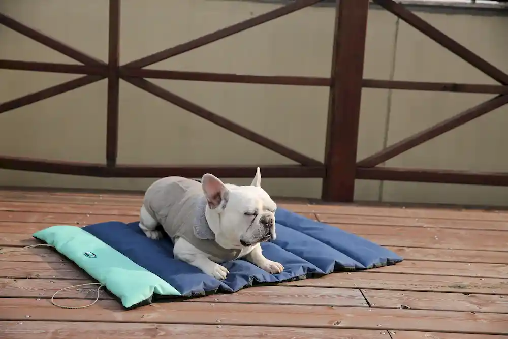 Groothandel beste outdoor hondenbed waterdicht