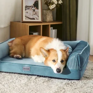 calming pet sofa in bulk