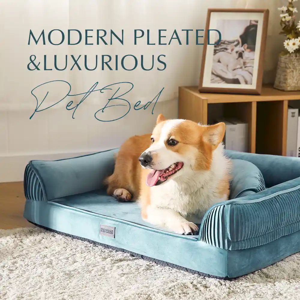 calming pet sofa