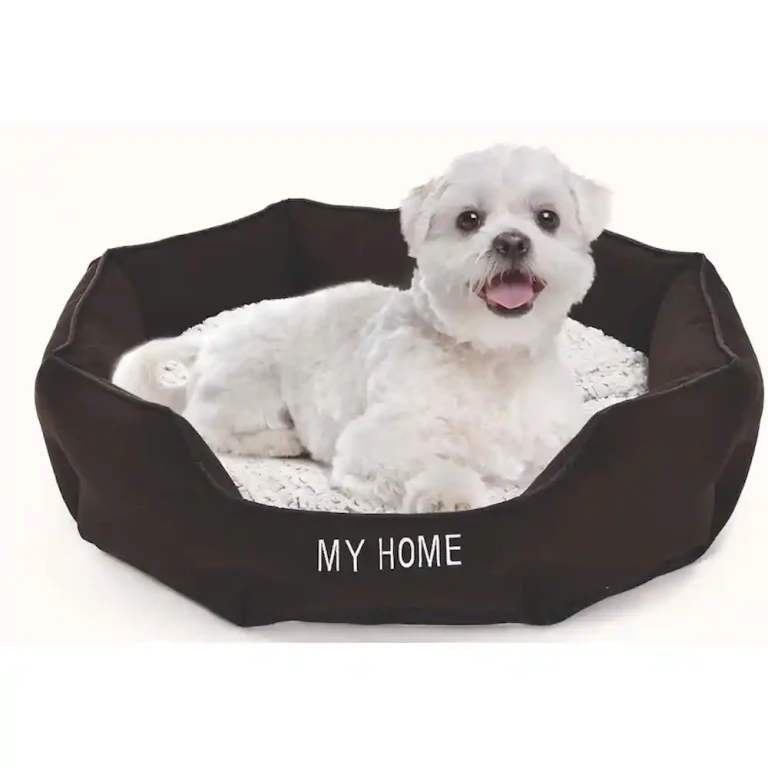 Lit en toile pour animaux de compagnie (grossiste)
