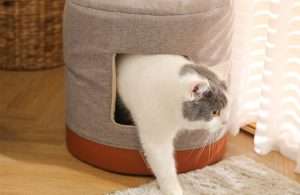 cat cave bed