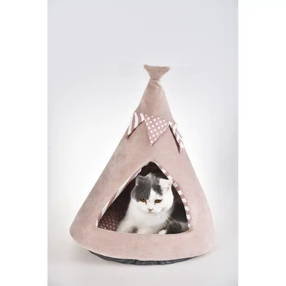 covered cat bed