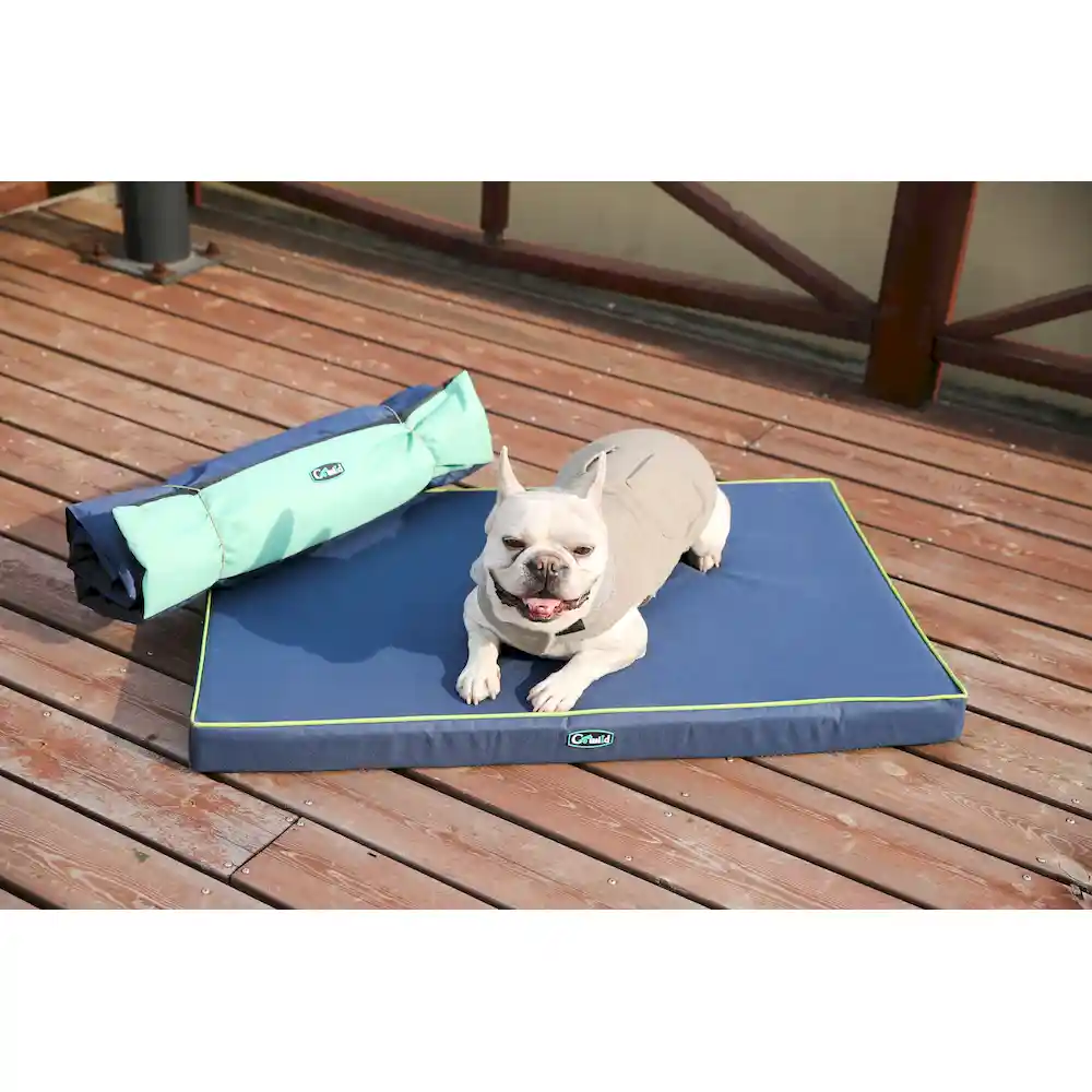 cushioned dog beds
