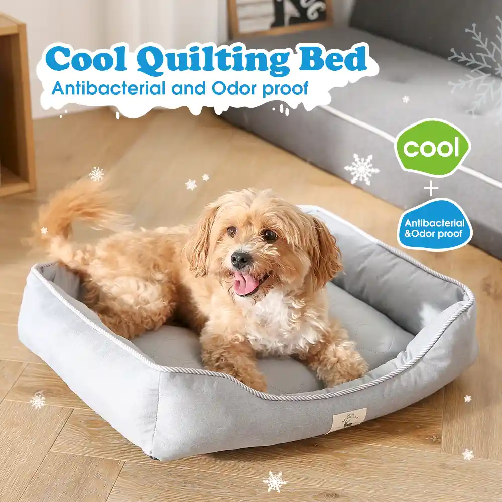custom made dog beds