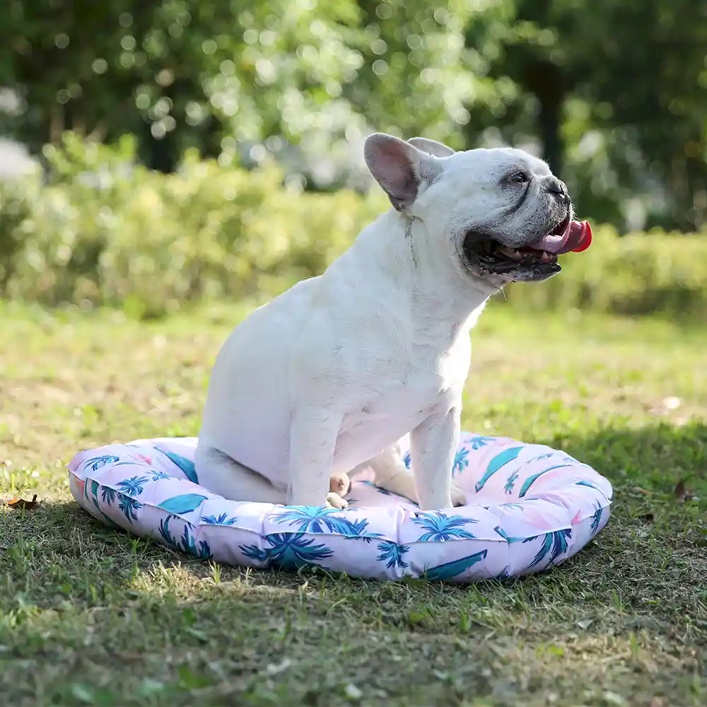dog cooling mat in bulk