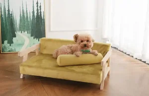 dog couch