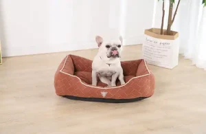 dog heating pad