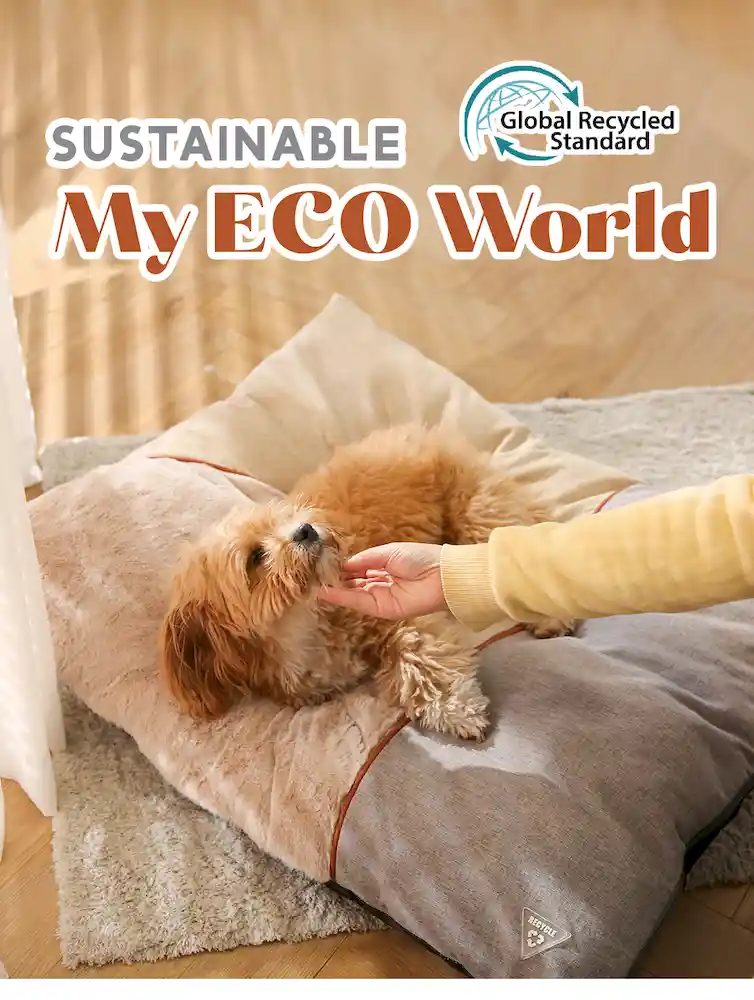 eco material of small cat bed pillow in bulk