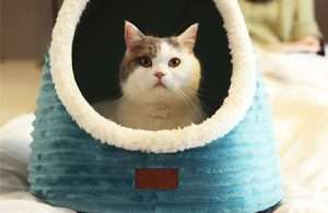felt cat bed