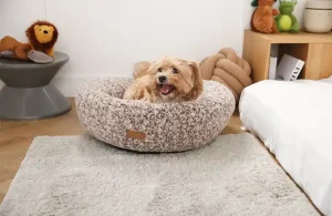 heated dog bed