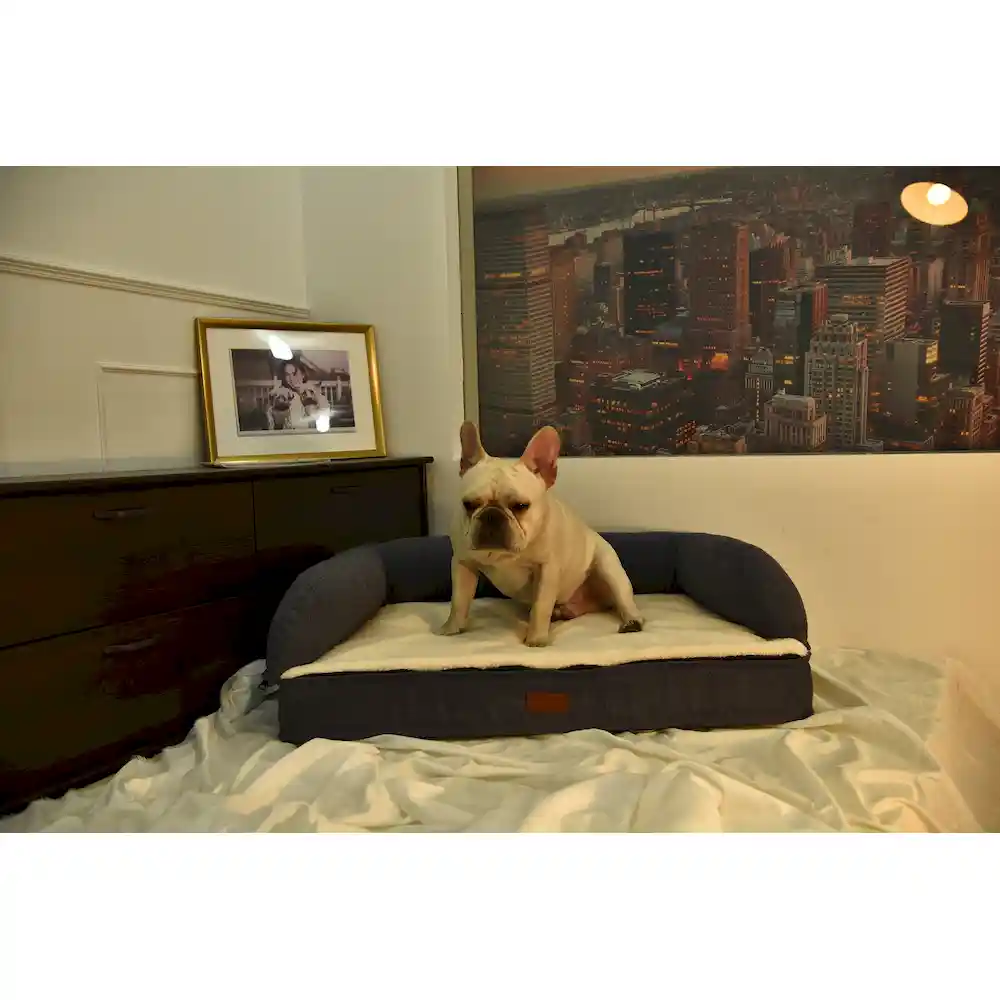 large dog sofa bed​ manufacturer