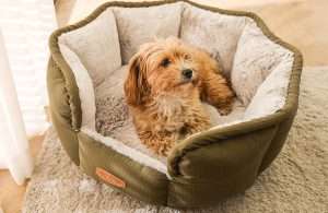 pet bed suppliers