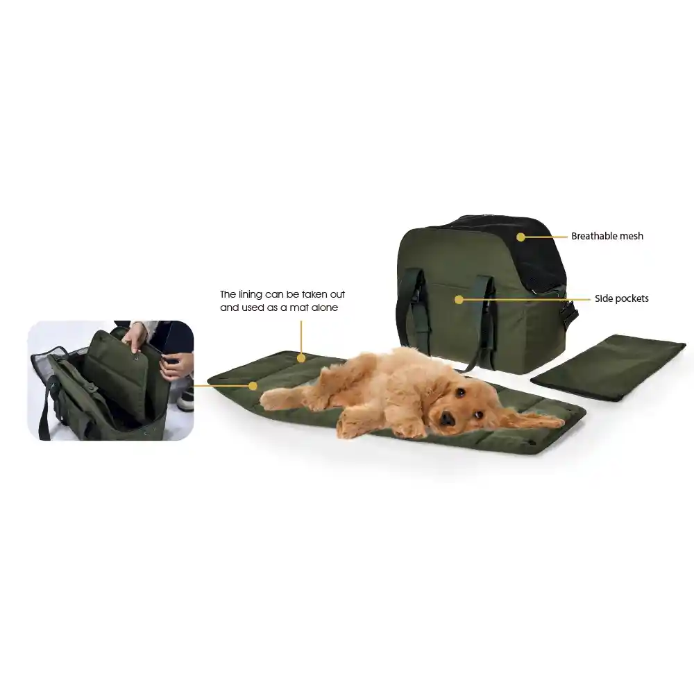 pet travel carrier custom
