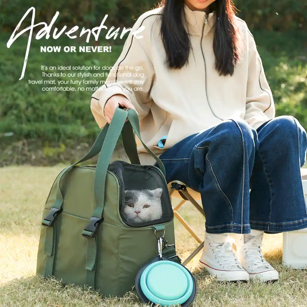 pet travel carrier in bulk