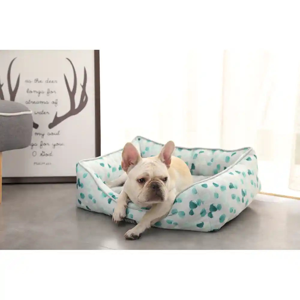 soft touch pet bed supplier