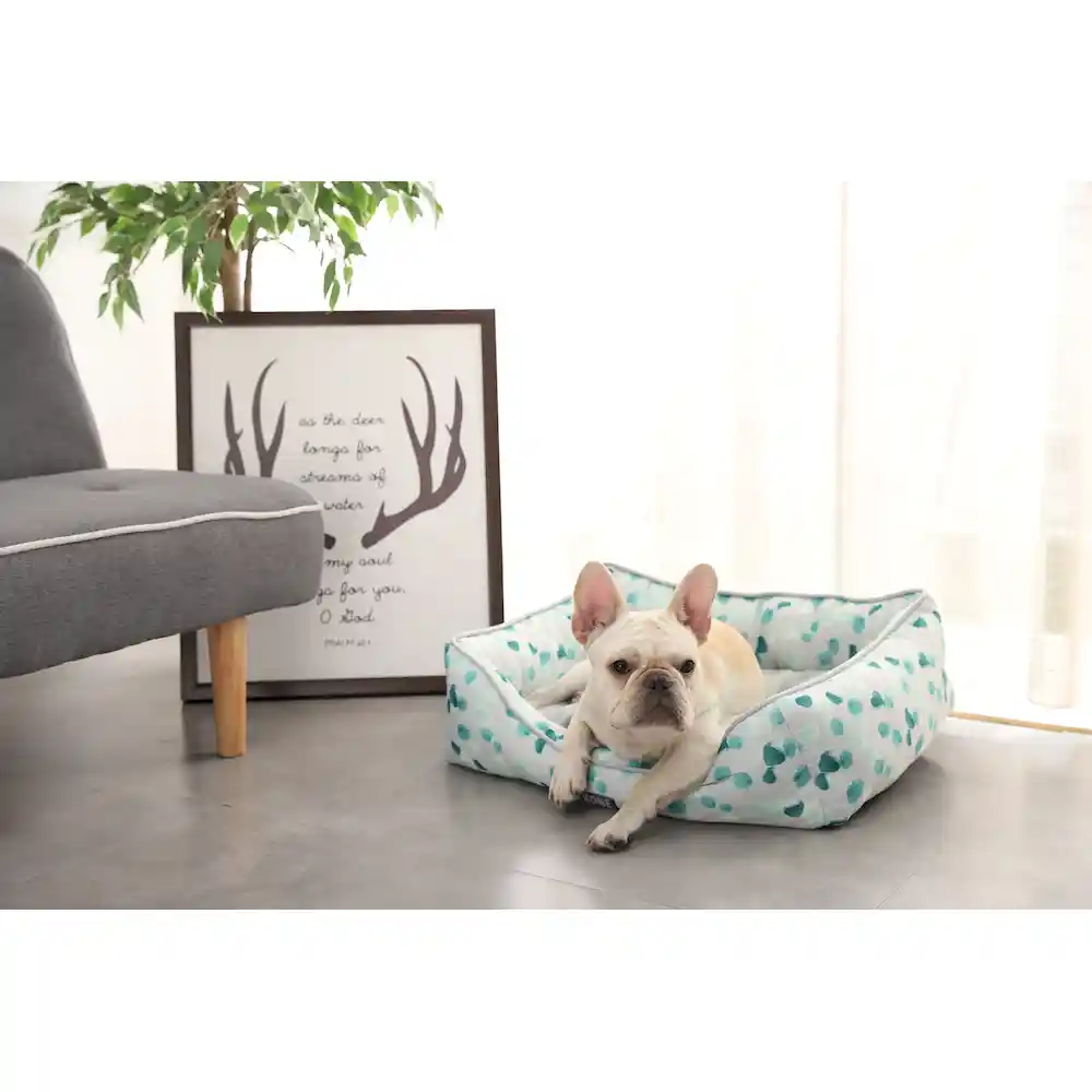 super soft pet sleeping bed