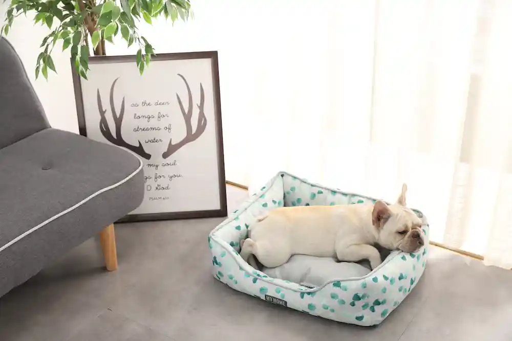 super soft pet sleeping bed​ manufacturer