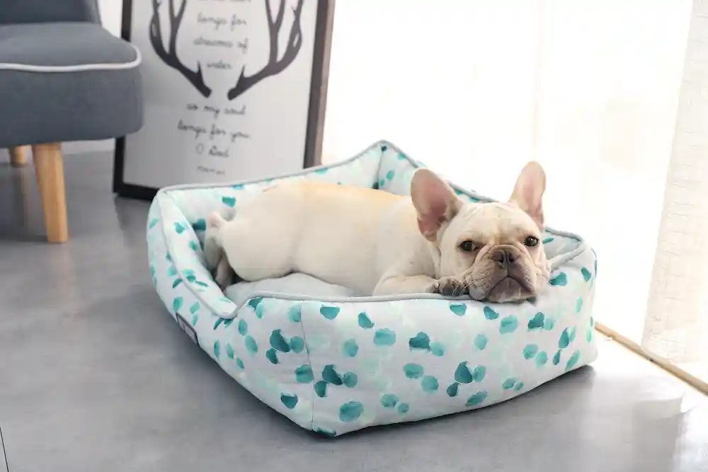 super soft pet sleeping bed​ supplier