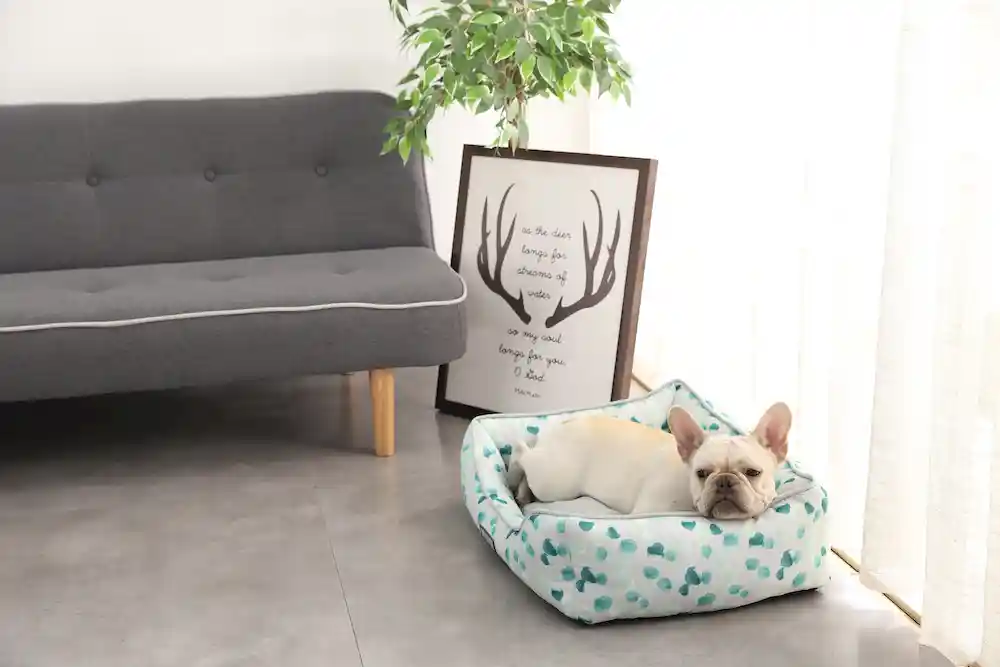 super soft pet sleeping bed​