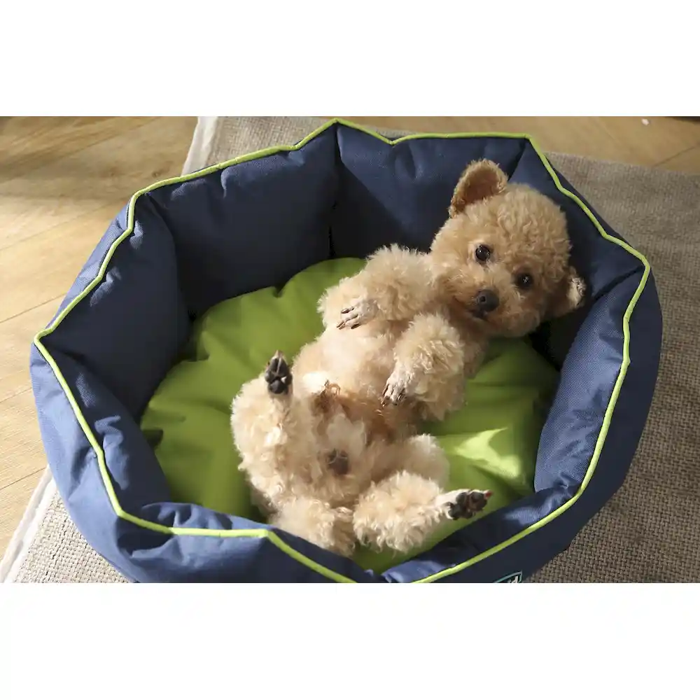 water resistant pet bed manufacturer