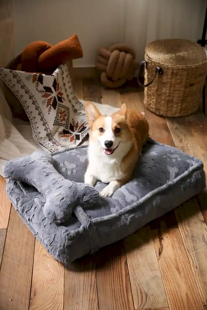 Small Dog Bed Cushion Factory