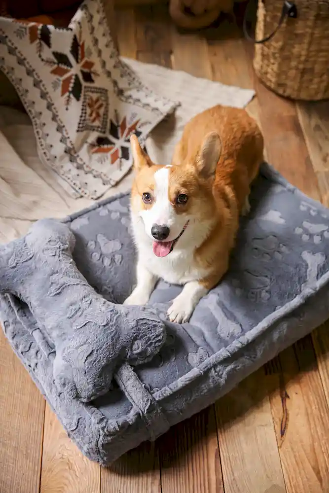 Small Dog Bed Cushion ODM