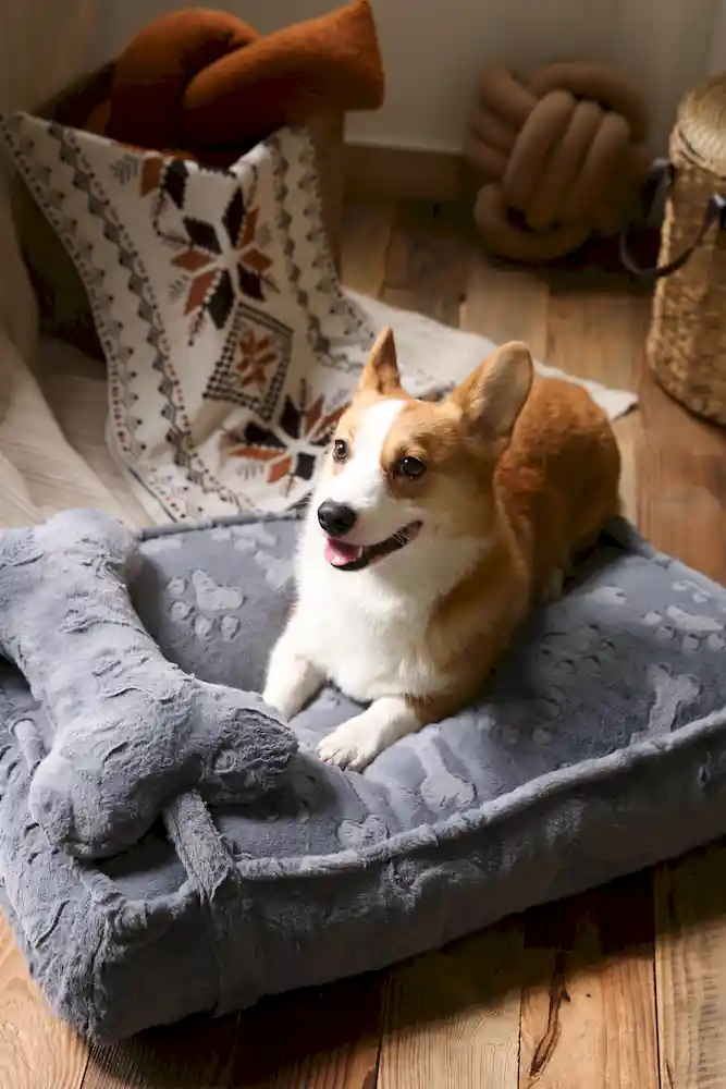 Small Dog Bed Cushion OEM