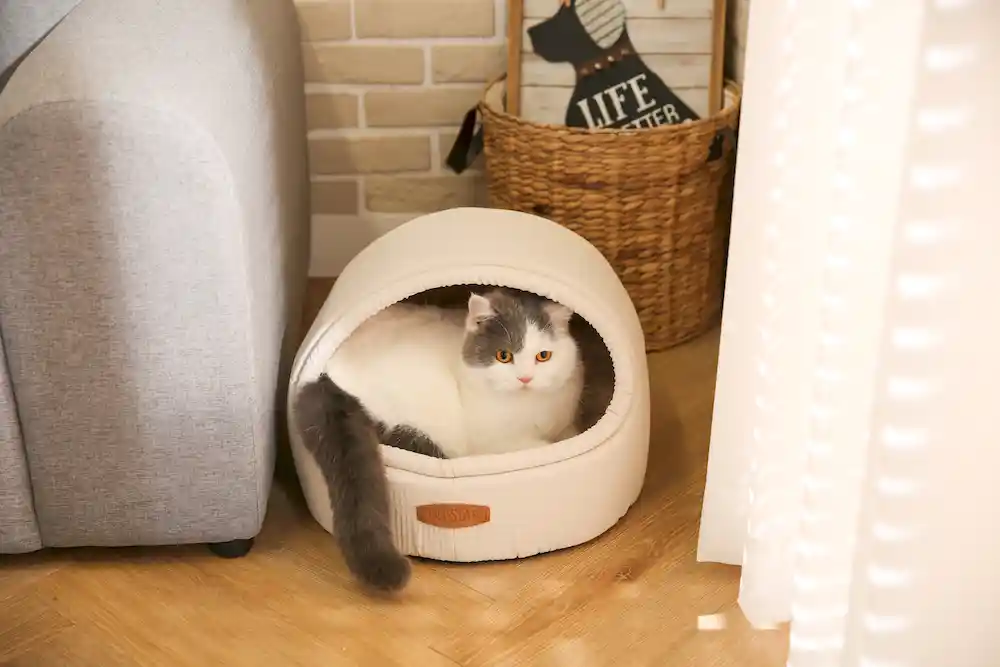 cozy cave dog bed factory
