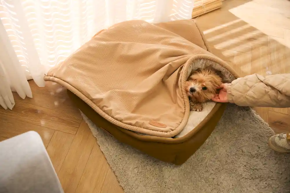 large waterproof pet blanket ODM