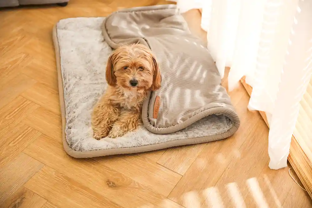 large waterproof pet blanket wholesaler