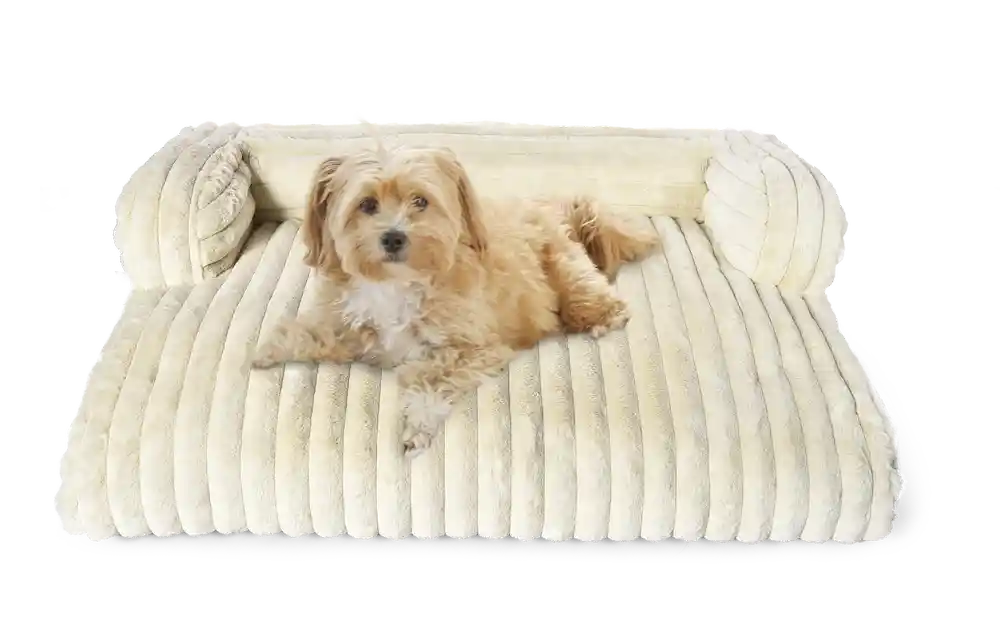 luxurious pet sofa bed manufacturer