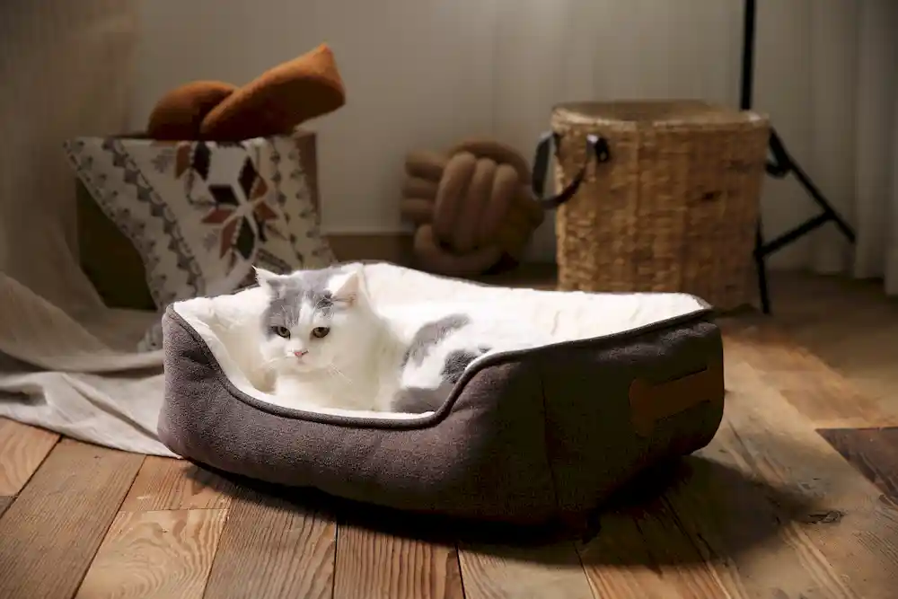 cama para cães com impressão da pata ODM