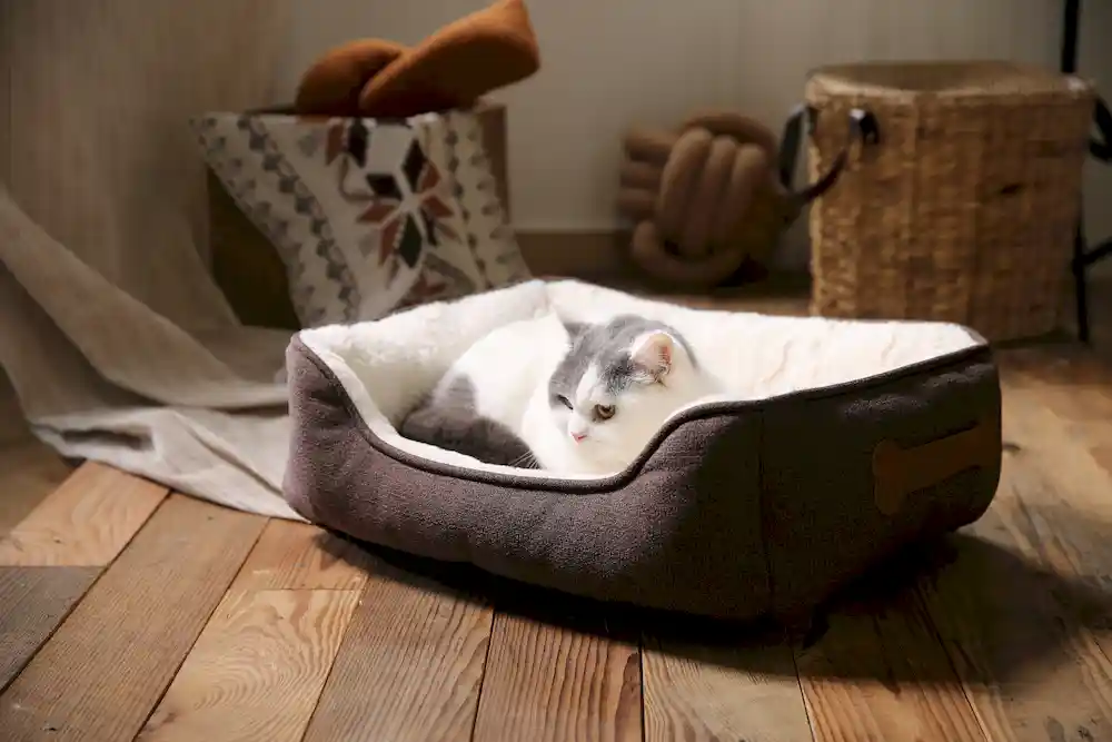 fábrica de camas para cães com estampado de patas